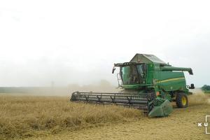 Експерти прогнозують зростання цін на ринку фуражних зернових