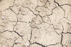 У липні майже на всій території України панувала посуха 