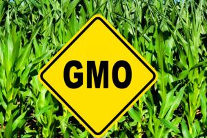 Уряд пропонує підвищити штрафи за нелегальне використання ГМО