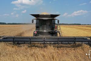 Світові ціни на пшеницю зросли до рекордного рівня з 2014 року