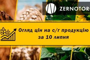 Ціни на зернові та олійні — огляд за 10 серпня від Zernotorg.ua