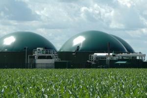 В Україні за рік запрацювало 28 виробників біогазу з агросировини