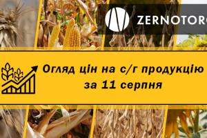 Ціни на с/г продукцію — огляд за 11 серпня від Zernotorg.ua