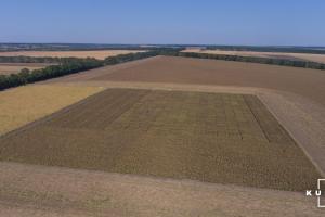 В Україні здійснені земельні операції щодо понад 10 тисяч га землі
