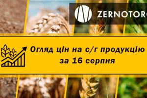 В Україні дорожчають зернові — огляд за 16 серпня від Zernotorg.ua