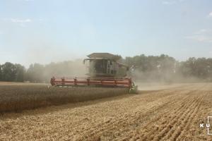 На Тернопільщині врожайність зернових зросла на 10%