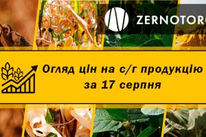 В Україні ціни на пшеницю стрімко зростають — огляд за 17 серпня від Zernotorg.ua