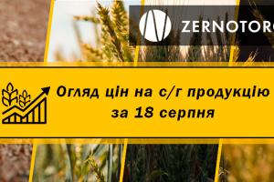 Ціна пшениці досягнула рекордного рівня з 2013 року — огляд за 18 серпня від Zernotorg.ua