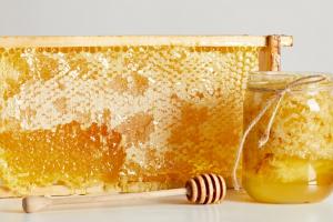 Українські бджолярі отримали ще один ринок збуту продукції