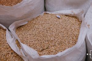 Експерти розповіли, якою буде ціна пшениці після різкого здорожчання