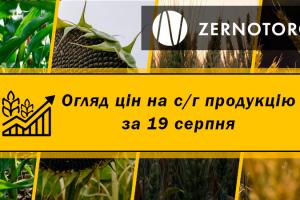 В Україні дорожчають зернові та олійні — огляд за 19 серпня від Zernotorg.ua