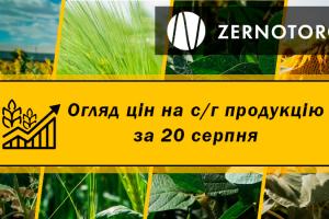 Ціни на зернові та олійні — огляд за 20 серпня від Zernotorg.ua