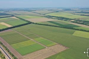 В Україні різко зменшилась кількість земельних угод