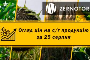 В Україні дешевшають зернові — огляд за 25 серпня від Zernotorg.ua