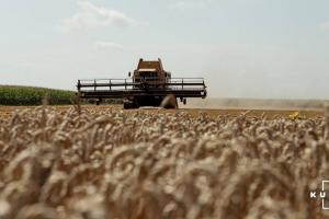 На Львівщині зібрали перший мільйон тонн зерна