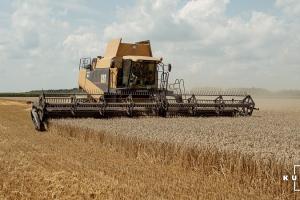 В США темпи збору ярої пшениці випереджають торішні на понад 20%