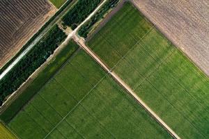 Variant Irrigation нарощує потужності продажу зрошувальних систем в Україні