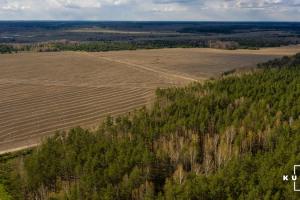 Українські аграрії незаконно займають земельні ділянки для збільшення посівних площ