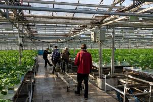 На Тернопільщині на агропідприємстві виявили 28 неоформлених збирачів овочів