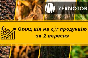 В Україні подорожчала пшениця — огляд за 2 вересня від Zernotorg.ua
