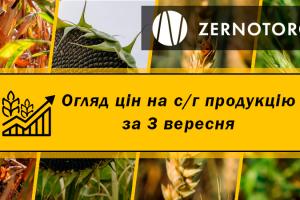 Ціни на зернові та олійні — огляд за 3 вересня від Zernotorg.ua