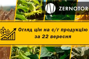 В Україні продовжують дорожчати зернові — огляд за 22 вересня від Zernotorg.ua