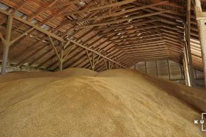 Україна експортувала понад 2 млн тонн пшениці у вересні
