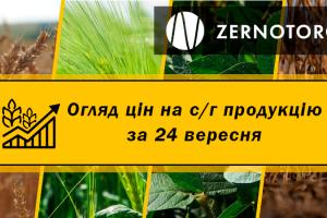 Ціни на зернові та олійні — огляд за 24 вересня від Zernotorg.ua