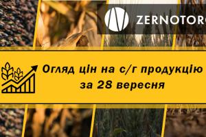 Ціни на зернові та олійні — огляд за 28 вересня від Zernotorg.ua