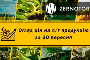В Україні дорожчають олійні — огляд за 30 вересня від Zernotorg.ua