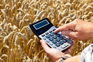 Середня зарплата у сільському господарстві перевищила 12 тисяч гривень