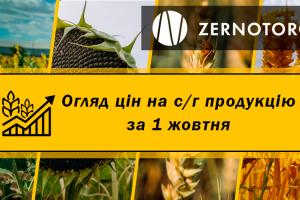 Вартість соняшнику зросла — огляд за 1 жовтня від Zernotorg.ua