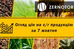 Зернові продовжують дорожчати — огляд за 7 жовтня від Zernotorg.ua