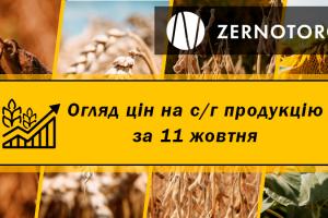 В Україні дорожчають зернові — огляд за 11 жовтня від Zernotorg.ua
