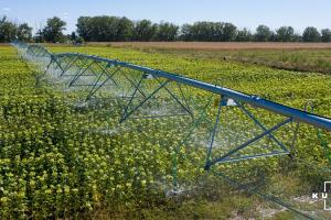 Variant Irrigation запустив першу двокрилу зрошувальну систему
