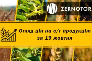 Ціни на олійні стабілізувались — огляд за 19 жовтня від Zernotorg.ua