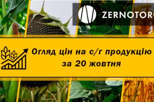 Ціни на зернові та олійні — огляд за 20 жовтня від Zernotorg.ua