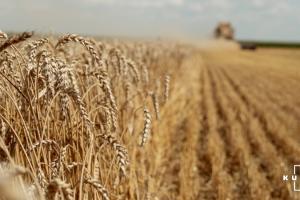 Україна експортувала 46% пшениці, передбаченої в Меморандумі