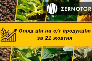 В Україні стрімко подорожчав соняшник — огляд за 21 жовтня від Zernotorg.ua