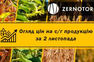 В Україні здорожчала пшениця — огляд за 2 листопада від Zernotorg.ua
