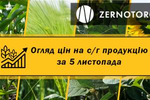 Ціни на зернові та олійні — огляд за 5 листопада від Zernotorg.ua