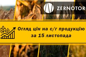 Ціна сої опустилась нижче 15 000 грн/т — огляд за 15 листопада від Zernotorg.ua