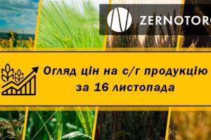 В Україні висхідна тенденція цін на зернові — огляд за 16 листопада від Zernotorg.ua