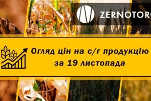 Ціни на с/г продукцію — огляд за 19 листопада від Zernotorg.ua