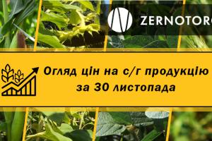 Ціни на зернові та олійні — огляд за 30 листопада від Zernotorg.ua