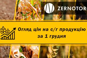 В Україні продовжує дорожчати пшениця — огляд за 1 грудня від Zernotorg.ua