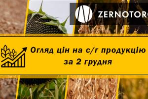 Ціна соняшнику досягла 20 000 грн/т — огляд за 2 грудня від Zernotorg.ua