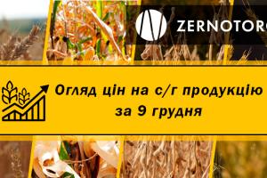Ціни на зернові стабілізувались — огляд за 9 грудня від Zernotorg.ua