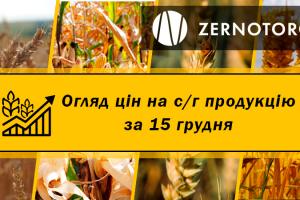 В Україні дешевшає пшениця — огляд за 15 грудня від Zernotorg.ua