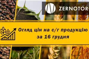 Ціна соняшнику опустилась до 19 000 грн/т — огляд за 16 грудня від Zernotorg.ua
